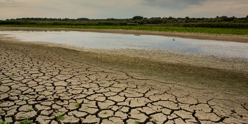 seceta   pamânt crapat foto shutterstock jpg