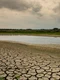 seceta   pamânt crapat foto shutterstock jpg