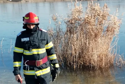 Lebede salvate de pe un lac înghețat. Foto: ISU Hunedoara