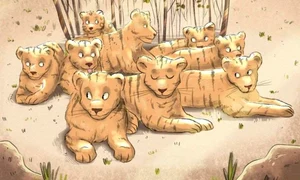 spot the jaguar brain teaser pictures jpg