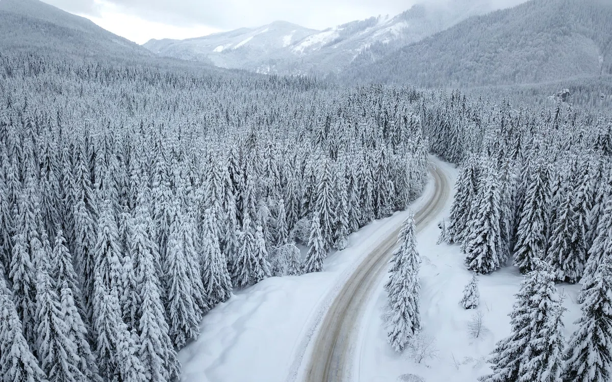Ninsori la munte, de Crăciun FOTO Shutterstock