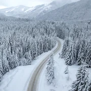 Zăpadă în Parâng - ninsoare FOTO Shutterstock 
