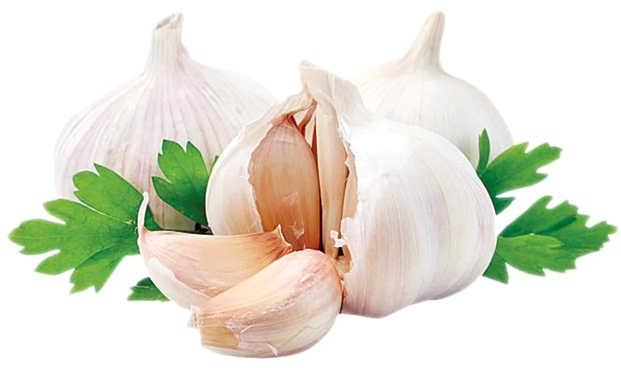 
    Foto: Shutterstock  
