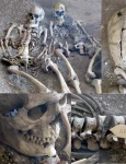 roman massacre myth at maiden castle 1 webp
