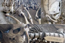 roman massacre myth at maiden castle 1 webp