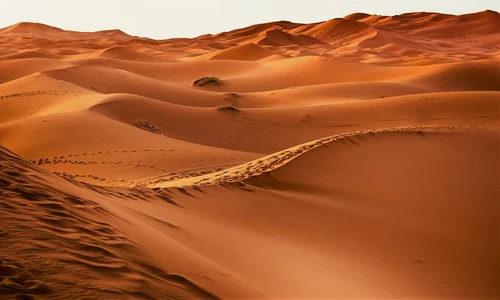 S a descoperit motivul care ar putea explica părăsirea Africii de către oamenii preistorici jpeg