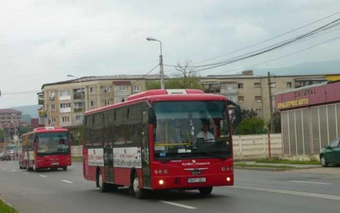 Autobuze ale STP Alba Iulia