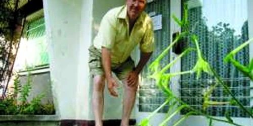 Hunedoara: Hoţii de fier au pus ochii pe grătarele de metal