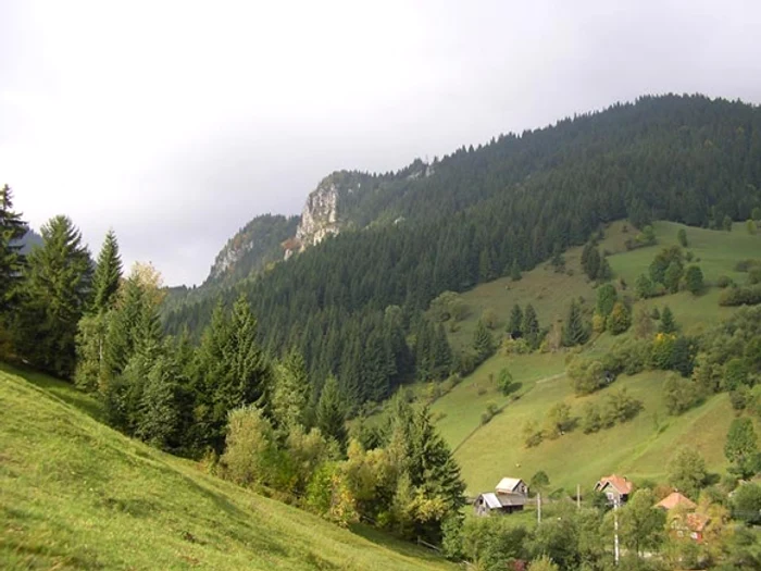 Prognoza meteo pentru următoarele două zile anunță că vremea începe să se încălzeascăfoto: Click!