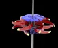 turbina 3 jpg