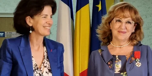 sanda maria ardeleanu prof univ suceava