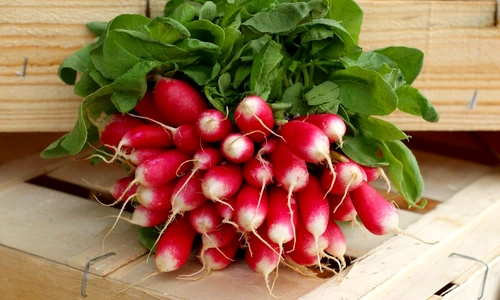 1 80535 original jpg jpeg