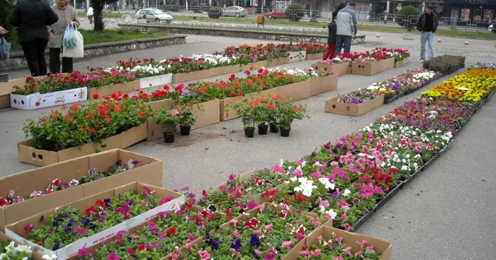 Parcul Tricolorului din Reşiţa a fost gazda evenimentului