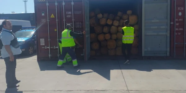 containere cu lemn port agigea