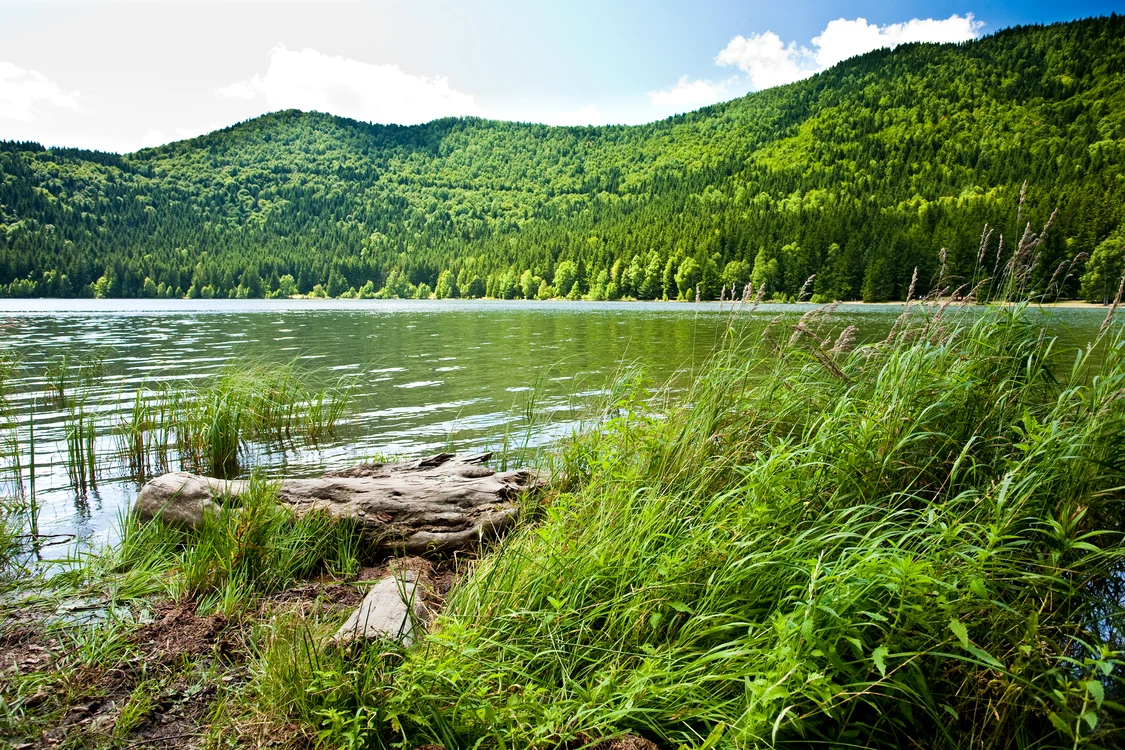 Lacul Sfânta Ana este o destinație la care trebuie să ajungeți