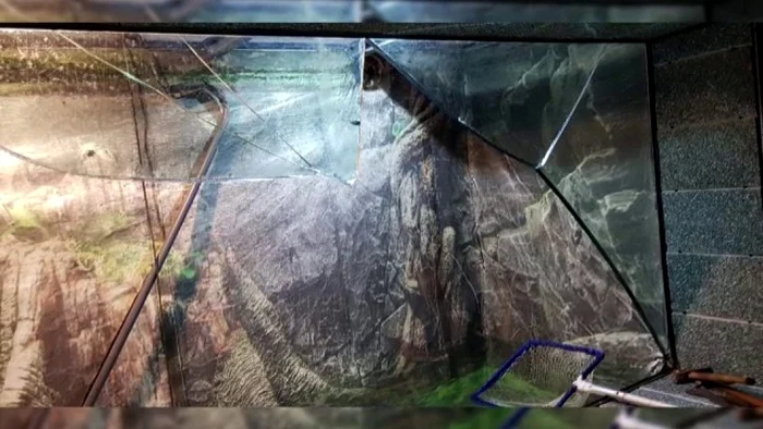 Bazinul avea 4 tone de apă în momentul spargerii Foto: Pro TV