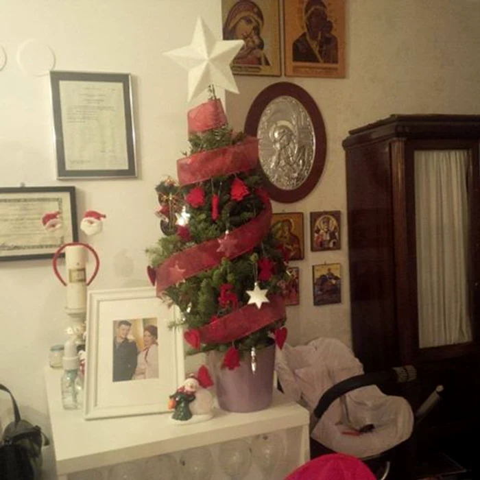 Oana Roman a îmbodobit un brăduţ în ghiveci