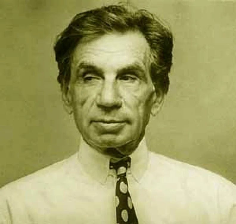 muzicianul Mihai Bredniceanu