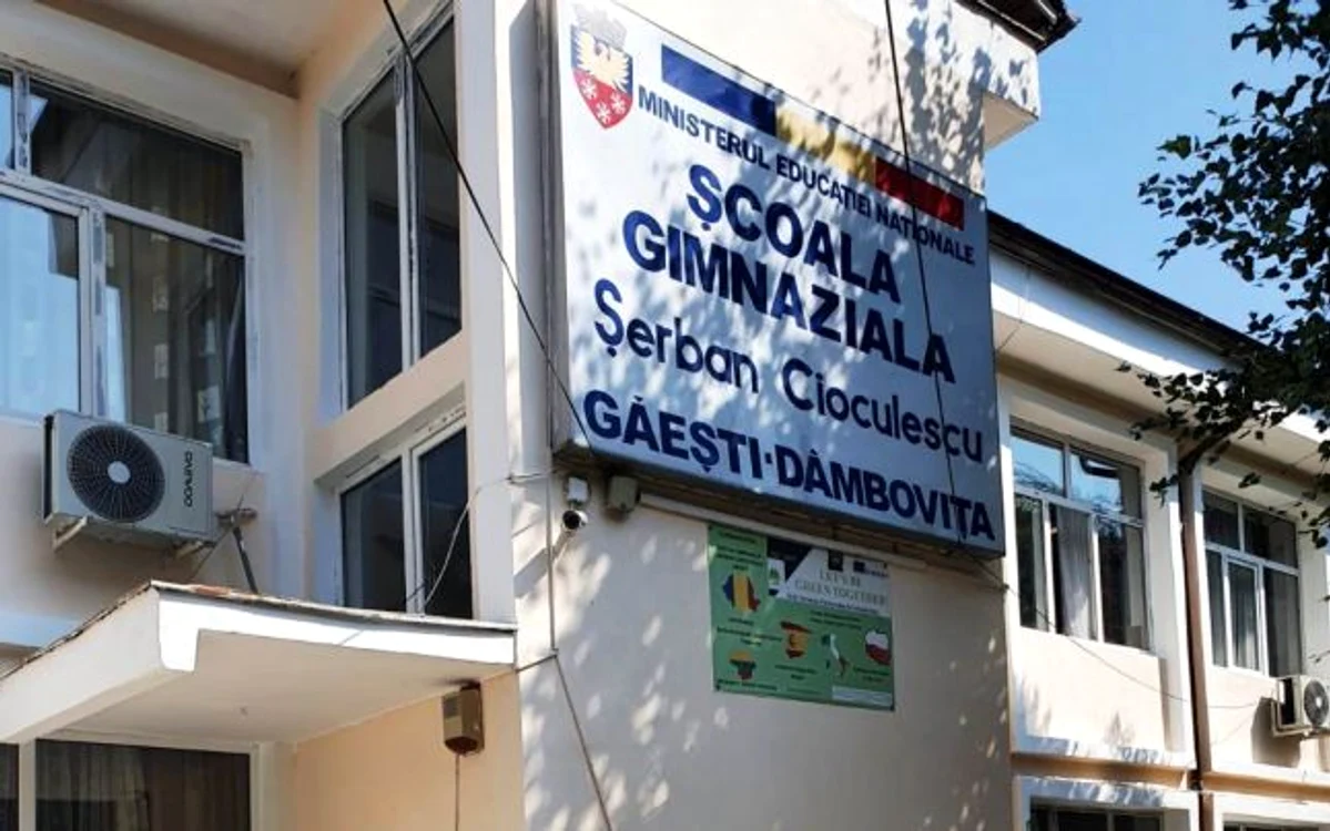 Şcoala Gimnazială Şerban Cicoulescu. FOTO: cronica-gaestiului.ro
