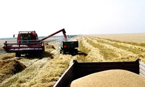 agricultura masini agricole combine grau recolta arhiva adevarul 10 jpeg