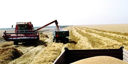 agricultura masini agricole combine grau recolta arhiva adevarul 10 jpeg