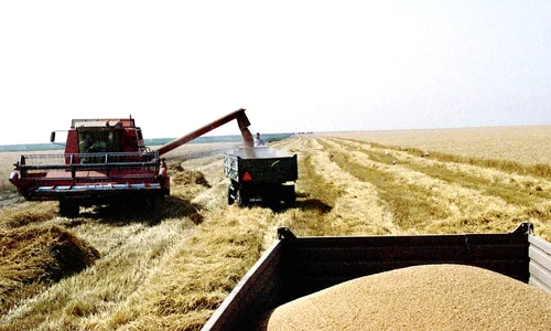 agricultura masini agricole combine grau recolta arhiva adevarul 10 jpeg
