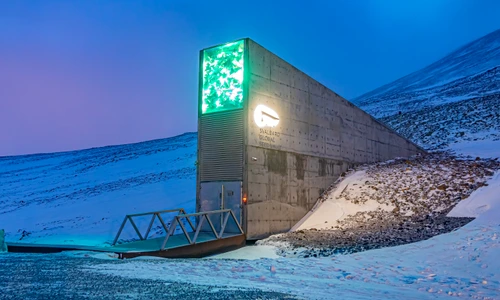 Banca de semințe Svalbard  foto   Shutterstock jpg
