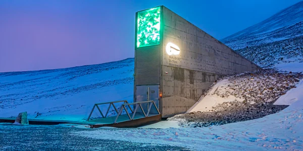 Banca de semințe Svalbard  foto   Shutterstock jpg