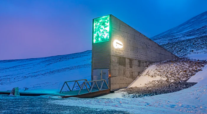 Banca de semințe Svalbard  FOTO Shutterstock