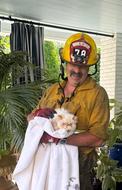 Un pompier ține în brațe pisica persană a lui Cara Delevingne, după ce casa i-a ars