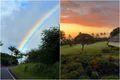 hawaii jpg