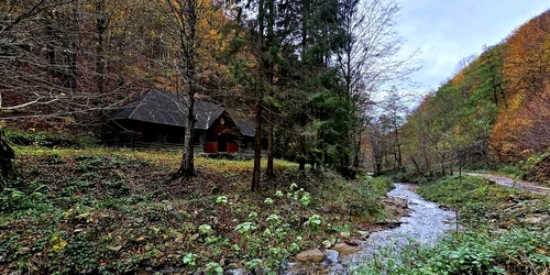 Muntii Orastiei Foto Daniel Guță ADEVĂRUL jpg