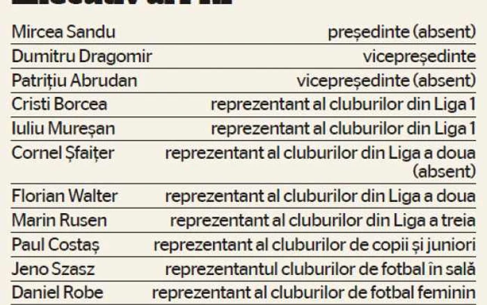 Cine face parte din Comitetul Executiv al FRF