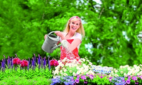 1 47214 original jpg jpeg