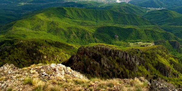 Oltul văzut de pe Cozia în Vâlcea Foto Kandy Reisenauer