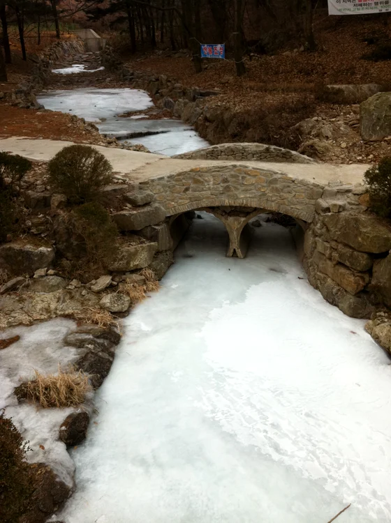Cultura bucuriei iernii jpeg