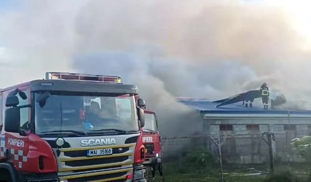 Fermă de animale cuprinsă de flăcări în județul Suceava. Zeci de porci au ars de vii