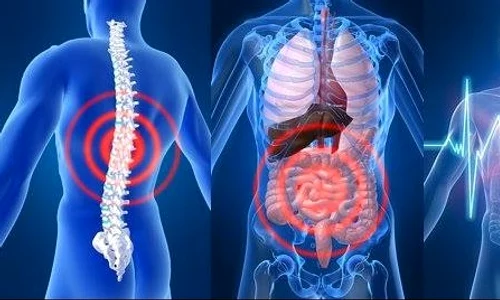 1 biorezonanta jpg jpeg