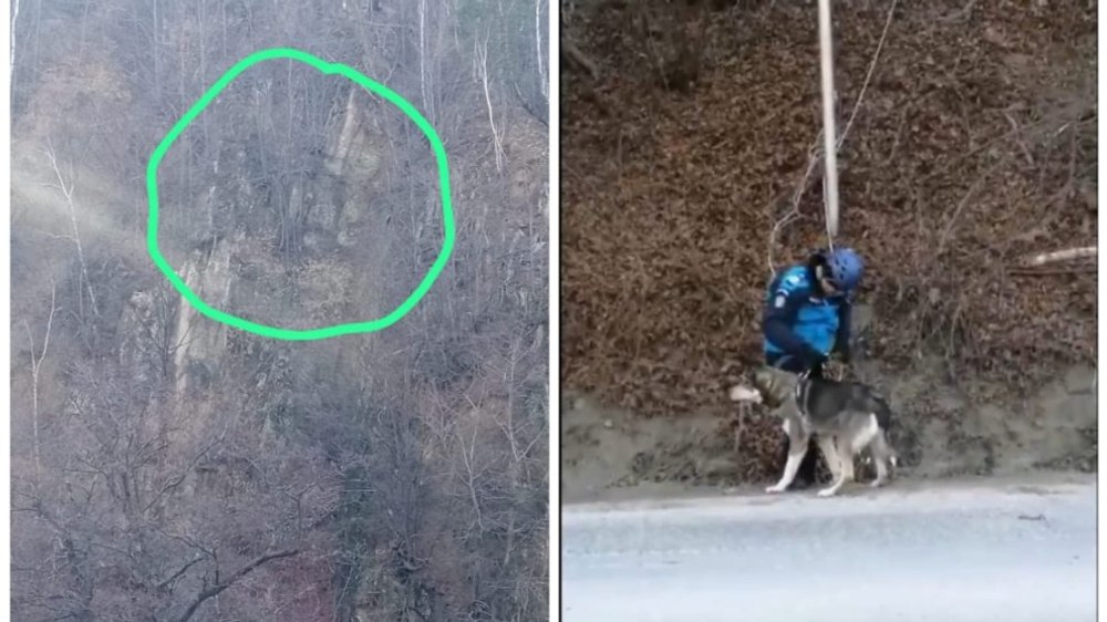 Imagini care te țin cu sufletul la gură. Un câine căzut într-o prăpastie adâncă de zeci de metri, salvat de pompieri și jandarmi