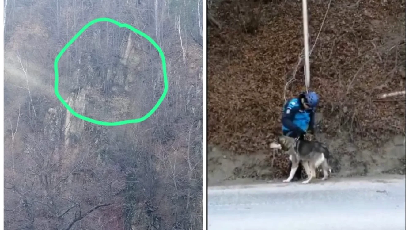 Câinele a fost salvat FOTO Colaj Șansa News