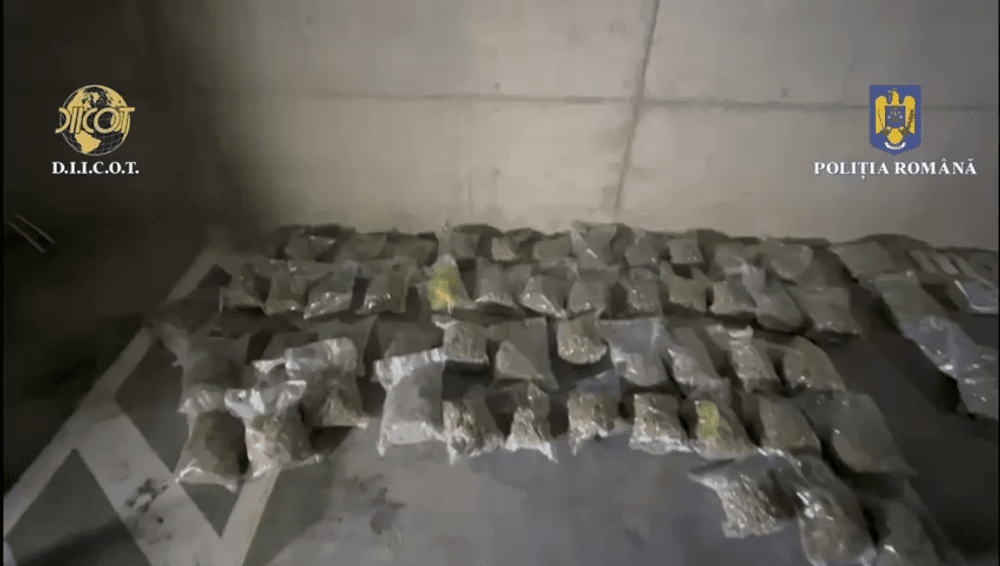 Kilograme de canabis găsite la Cluj, într-un autoturism al traficanților. Trei suspecți au fost arestați VIDEO