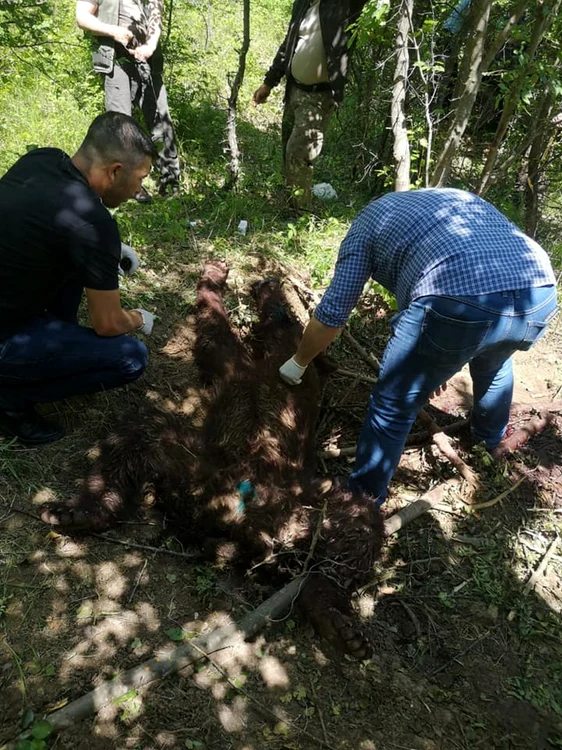 Sursa Garda de Mediu Buzău