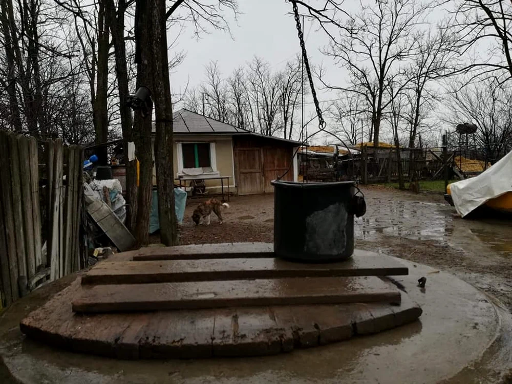 Singura gospodărie locuită din cătunul Crângeni FOTO: C.Mazilu