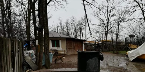 84353481 10157409656364091 2138587812952276992 n jpg