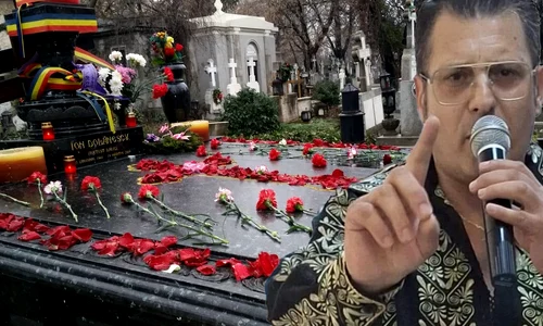 banner ionut petrescu png