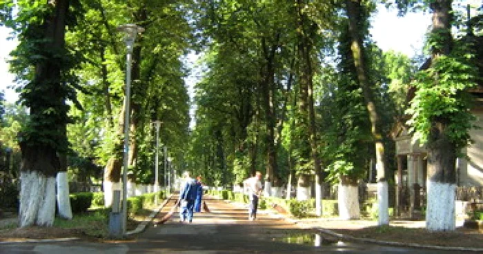 Oradea: Se reiau lucrările în cimitirul municipal