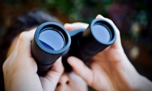 Spion FOTO Pixabay
