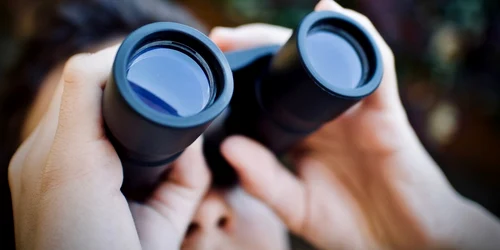 Spion FOTO Pixabay