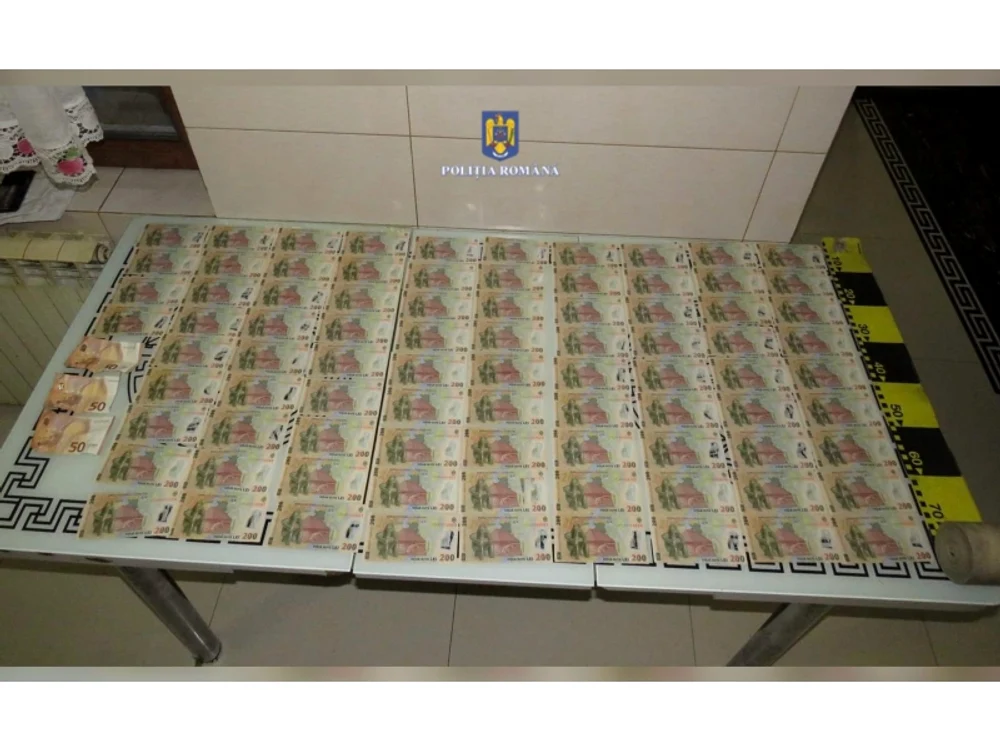 Prejudiciul se ridică la peste 250.000 de lei. FOTO Poliția Română