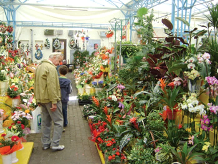 Arad: Florarii fac planuri mari pentru 14 septembrie
